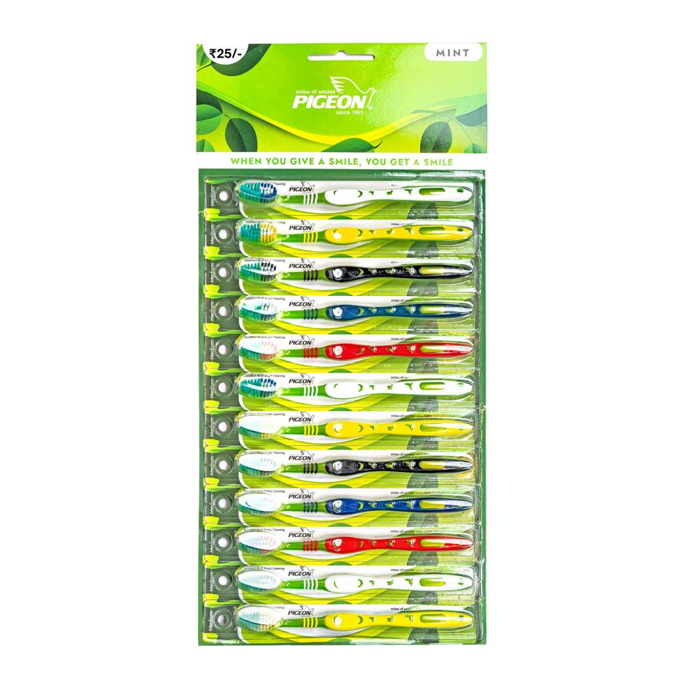 Pigeon Mint - Bristle Color: Multi