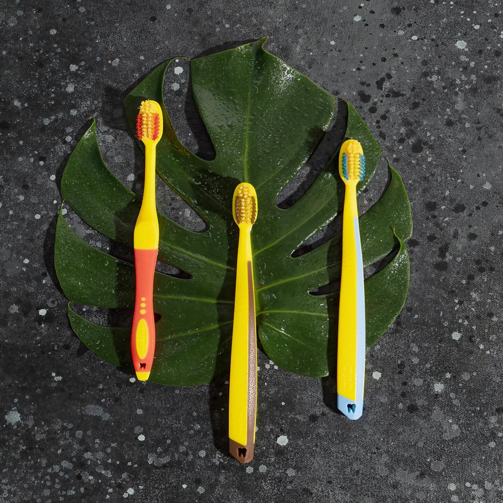 Pigeon Hello Haldi - Bristle Color: Multi