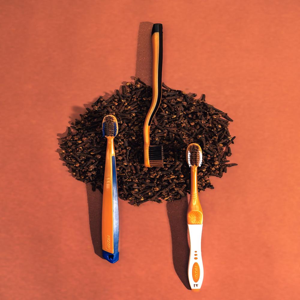 PIGEON CHARCOAL & CLOVE