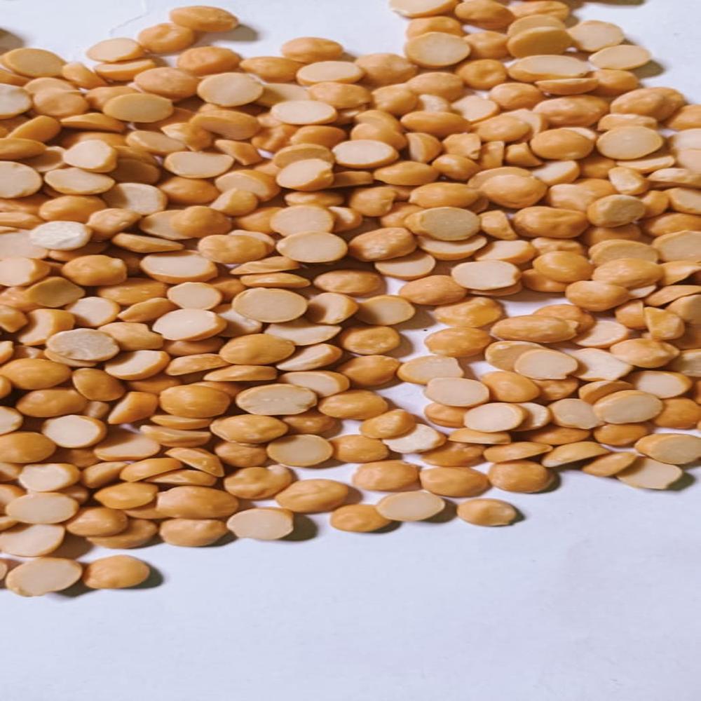 Yellow Maize Dealers In Kolkata