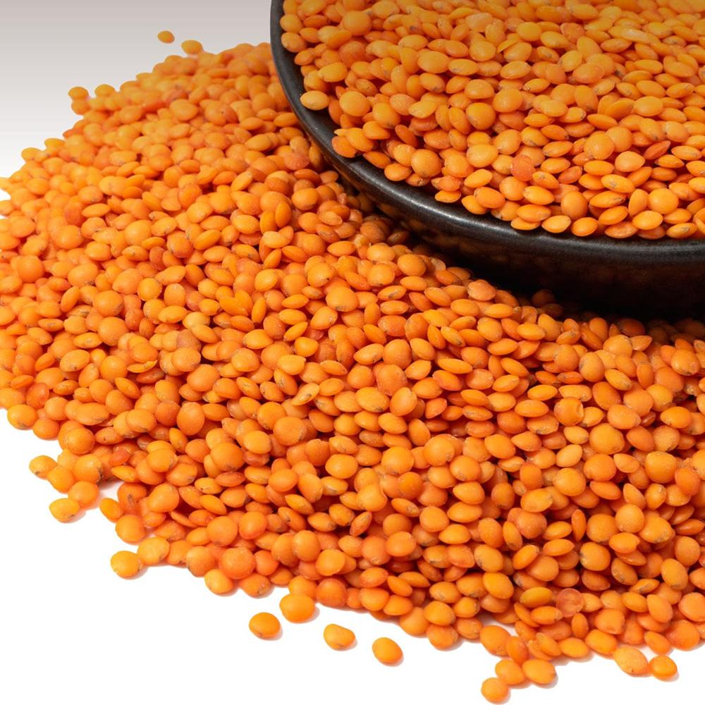 Maize Vutta - Admixture (%): 16%