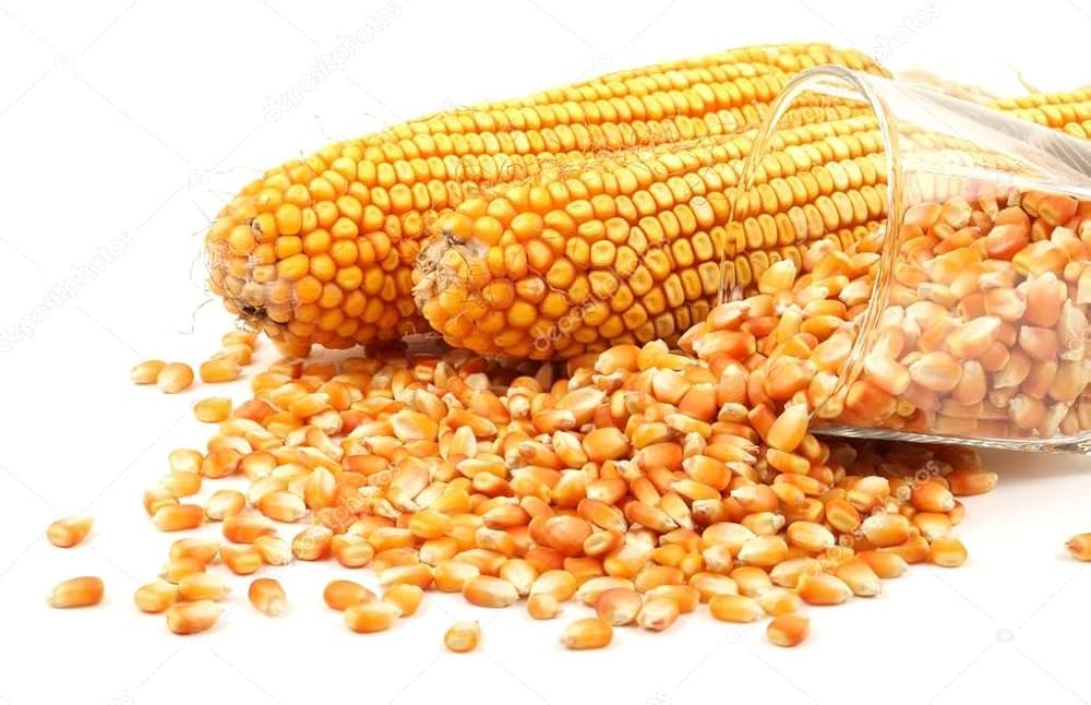Makka Maize - Admixture (%): 15%