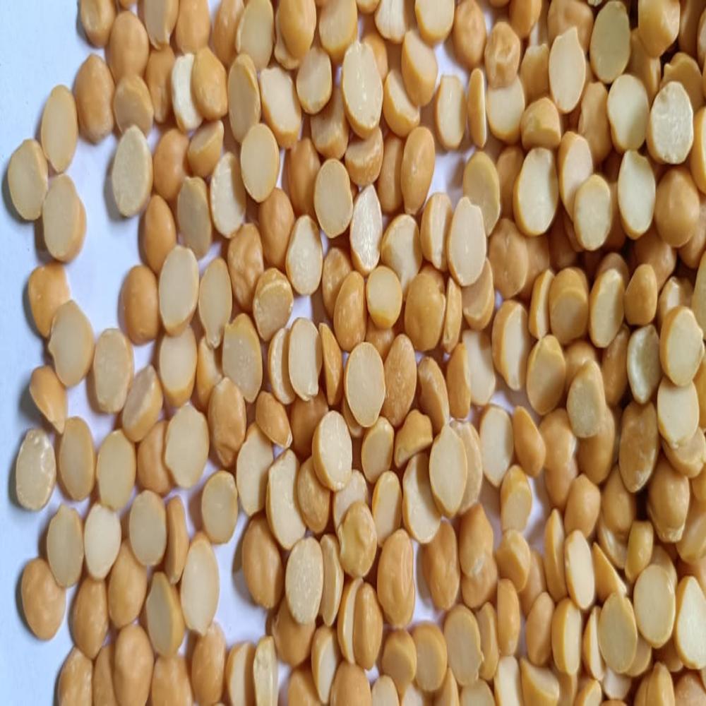 Makka Maize - Admixture (%): 15%