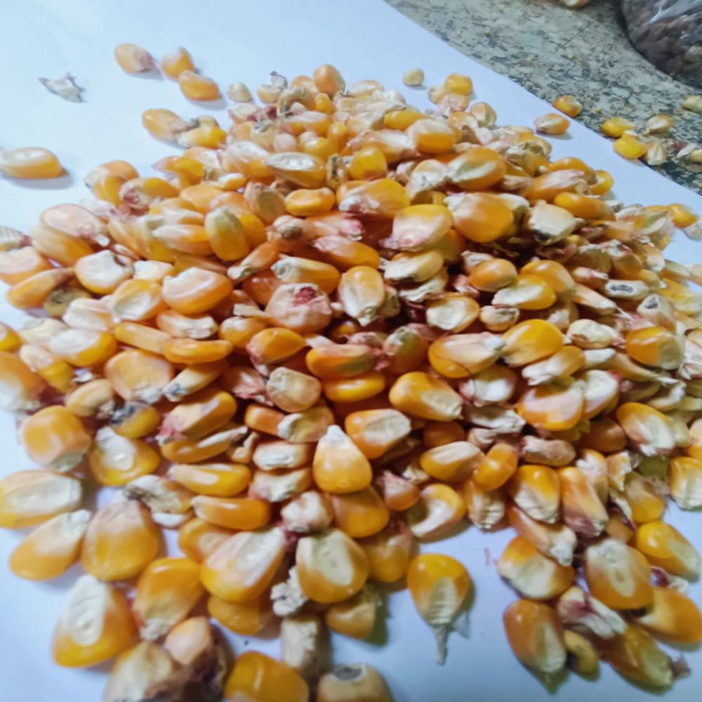 Makka Maize - Admixture (%): 15%