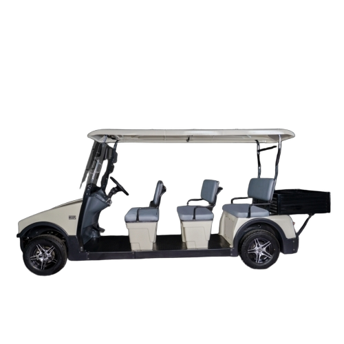 Electric Buggy Golf Cart - Battery Capacity: 48v 24ah