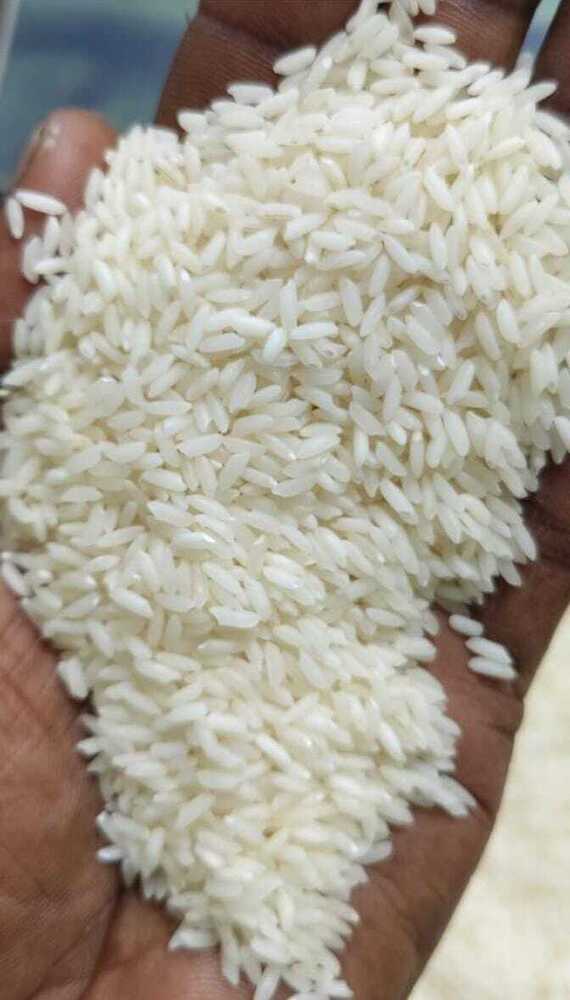 Sona Masoori Rice