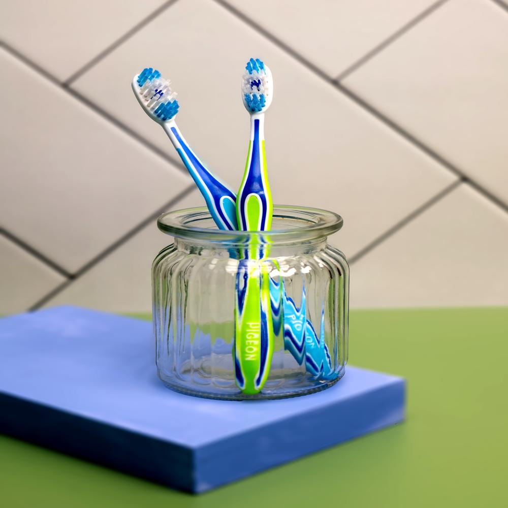 PIGEON SHIELD IN HYGENIC CASE