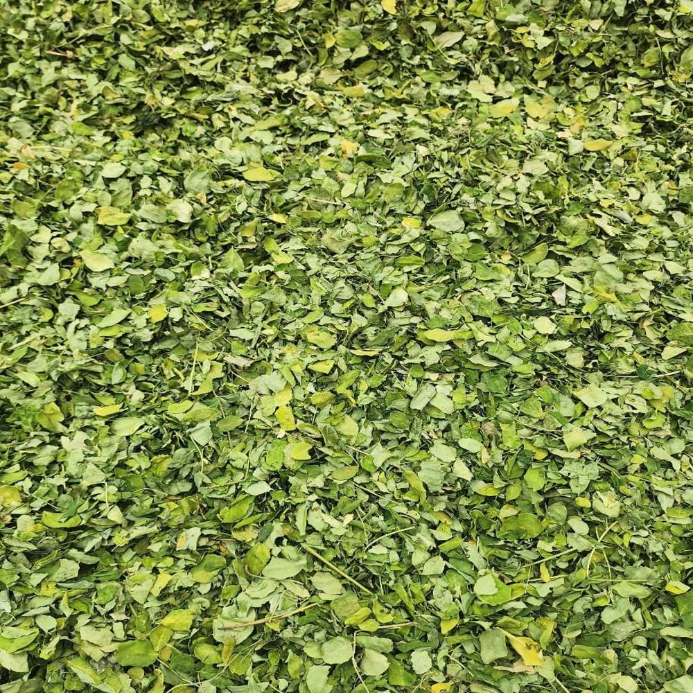 Dried Moringa Leaves