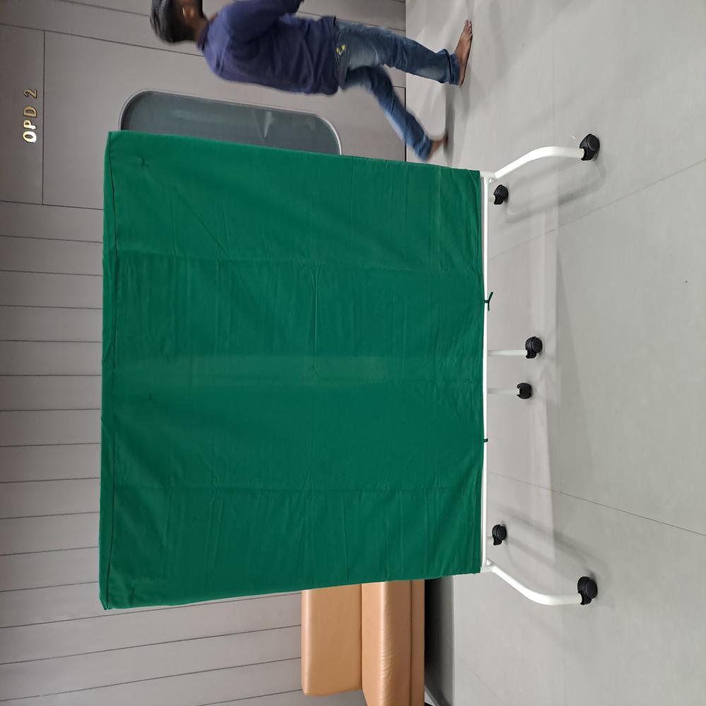 3 Fold Screen - Color: Green