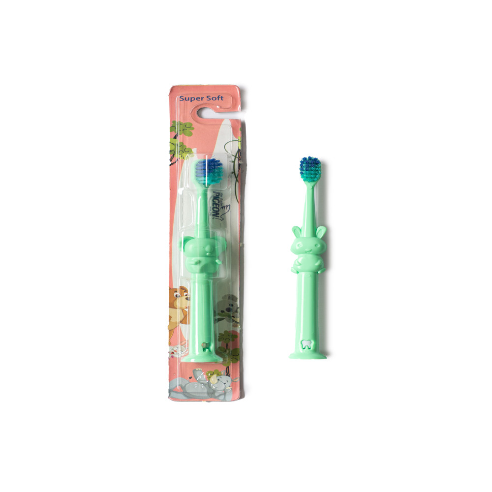 PIGEON ANIMAL WONDER