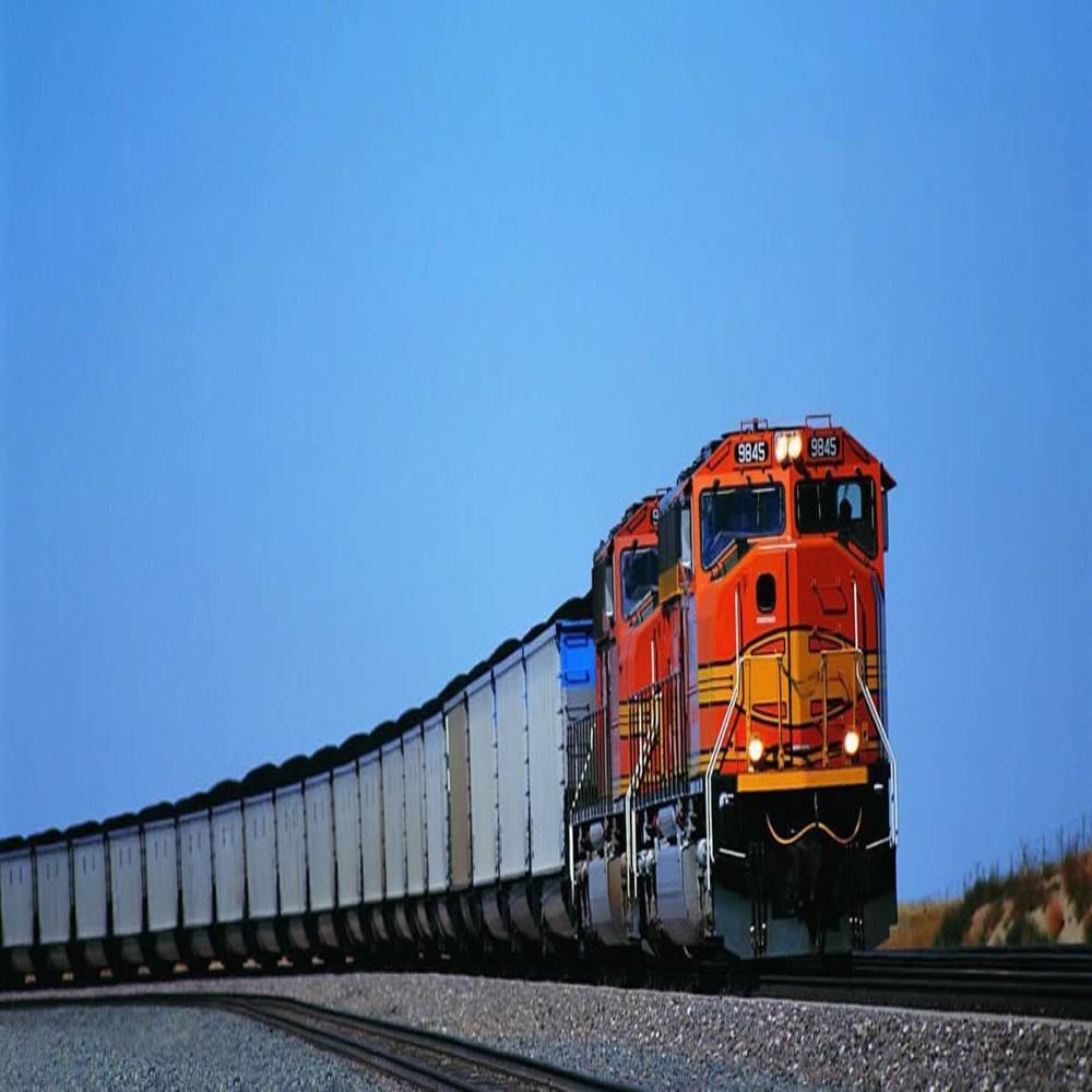 Qingdao to Jeddah Shipping Transport Freight