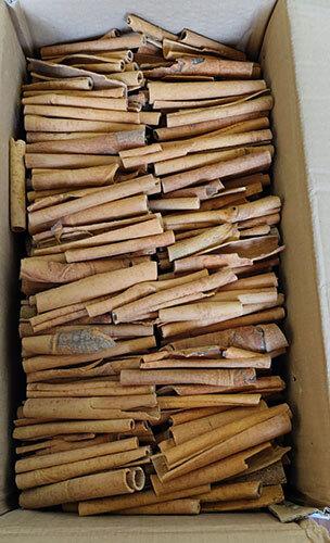 Cinnamon Stick