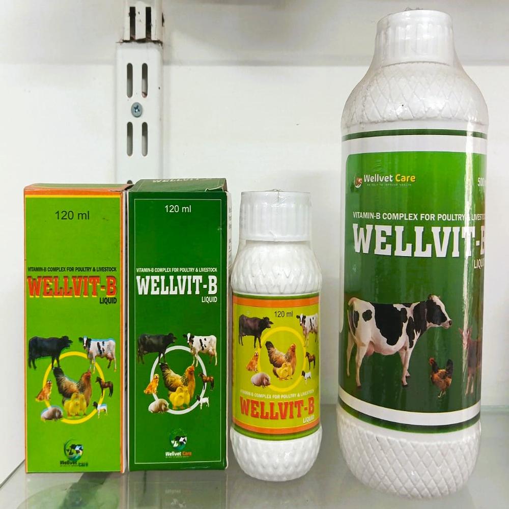 Vitamin B Complex - Ingredients: Solution Compound