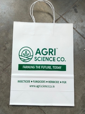 Coustmize Printing Paper Bags - Color: White