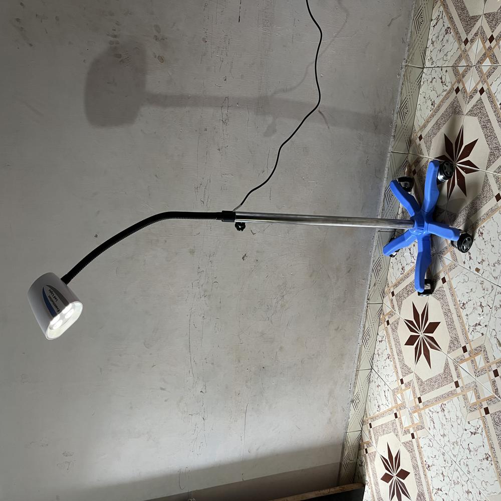 Examination Spot Light - Application: Normal Teeching