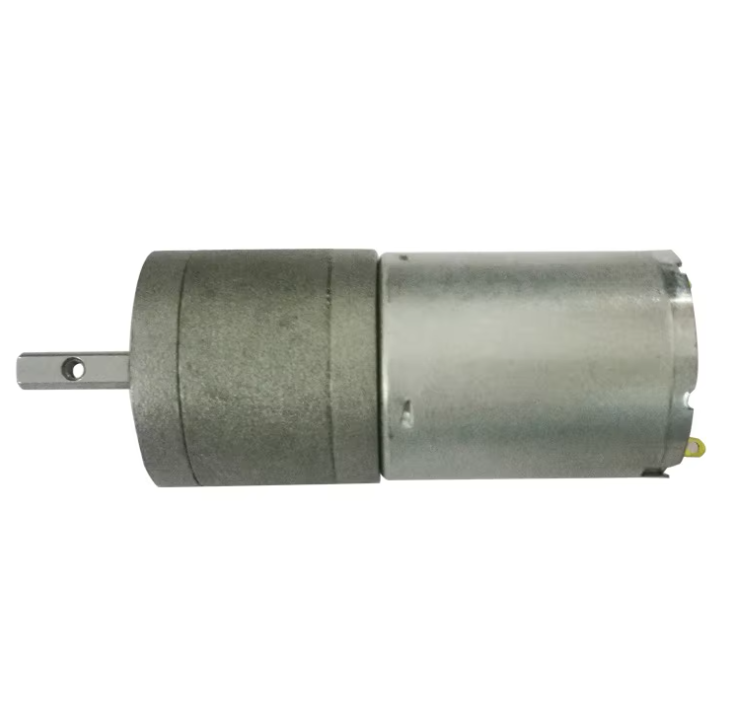 Factory Supply Brush DC Micro Gear Motor 370 Round Diameter 25mm Gearbox Reduction for Cosmetic Instrument