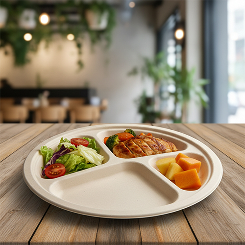 11inch 4cp Compartment Plate