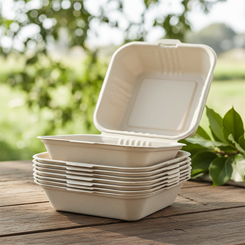 1000ml Biodegradable Food Container