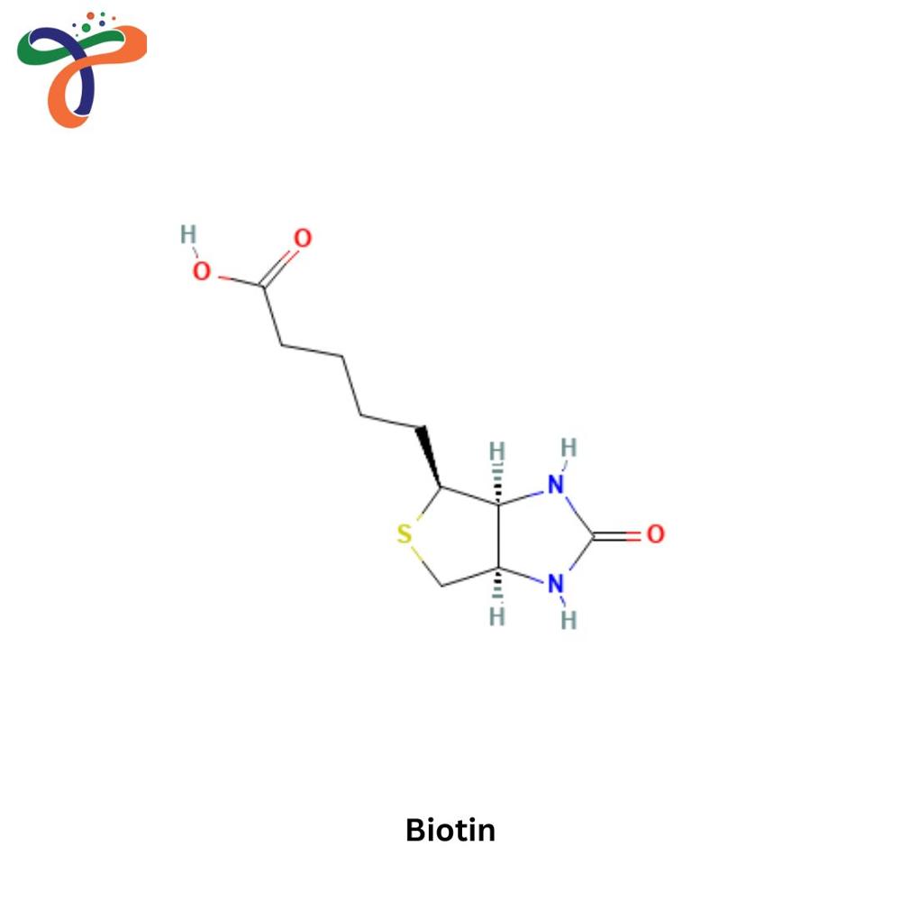 Biotin (58-85-5) (C10H16N2O3S)