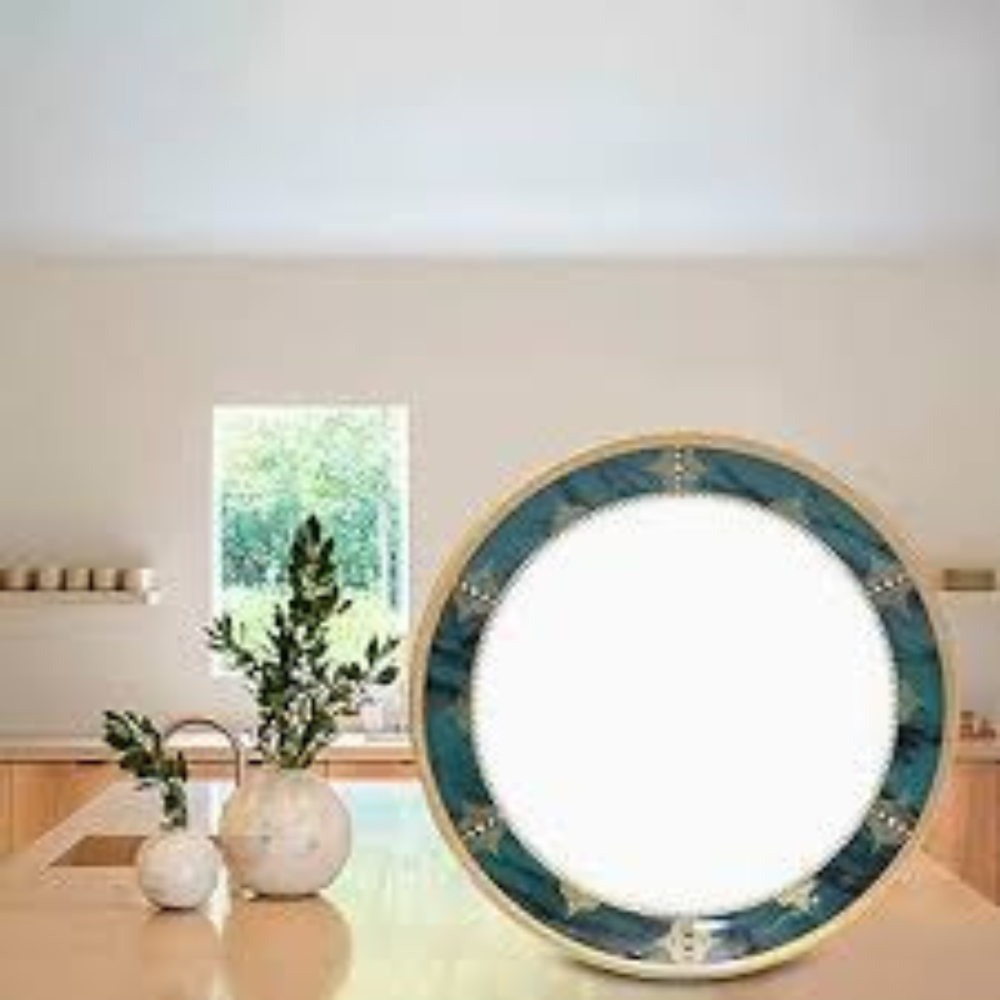 Melamine Dinner Plates - Features: Premium Quality