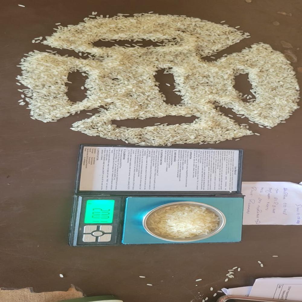 Ir64 Parboiled Rice 5% Broken (Exports Only) - Admixture (%): 1% Max