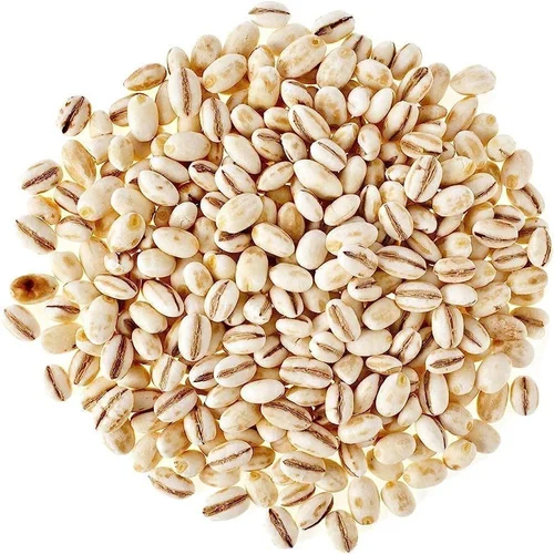 Pearl Barley Seeds