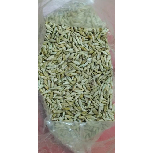 Hulled Barley Seeds