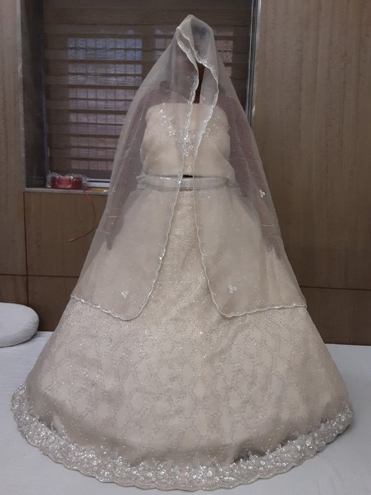D No-531 Lehenga Party Wear