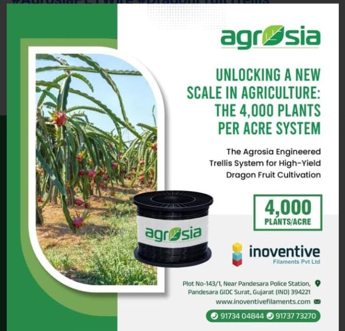 3MM Pet Agriculture Wire For Mandava  Mandap