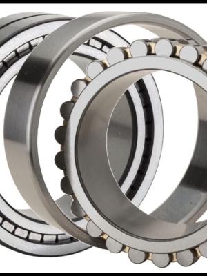22215 Double Rollar Bearing