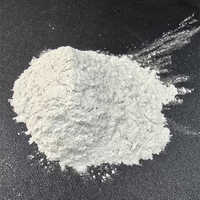 200 Mesh Recycled Glass Powder - Off White Coarse Powder (25,50 kg)