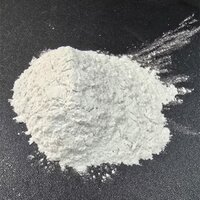 200 Mesh Recycled Glass Powder