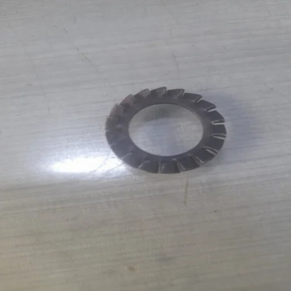 Stainless Steel Star Washer