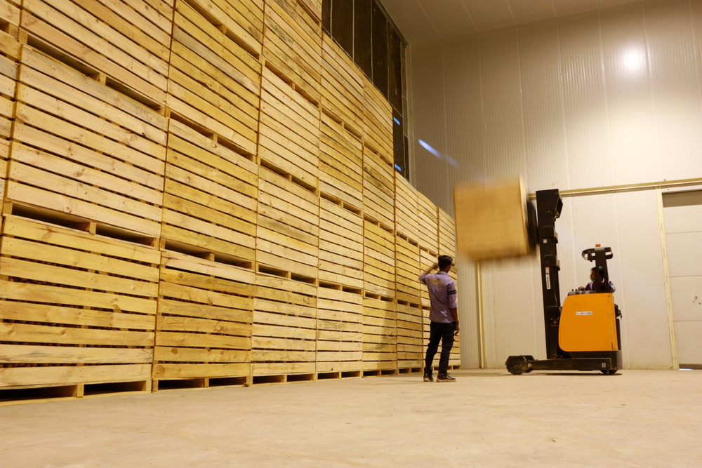 Modified Atmosphere Cold Storage