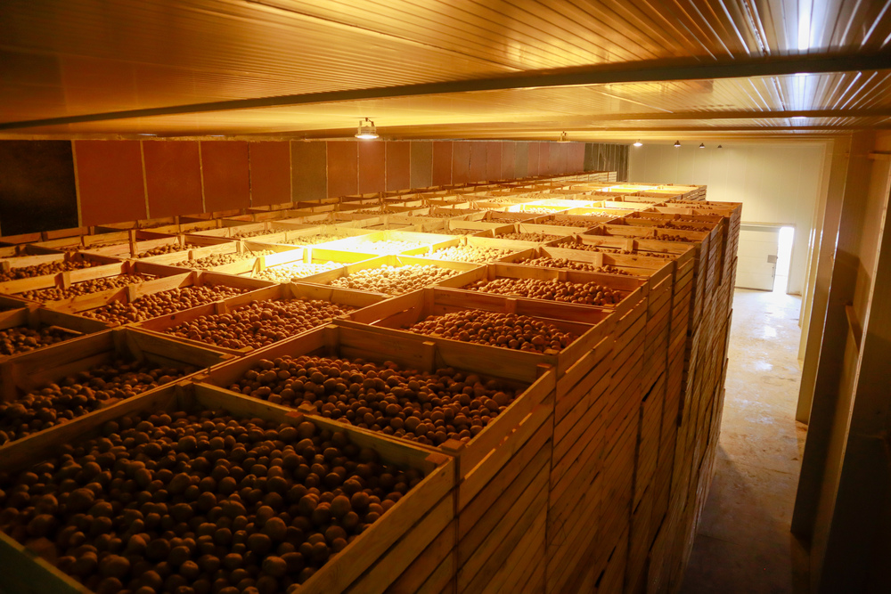 Modified Atmosphere Storage Of Fruits and Vegetables