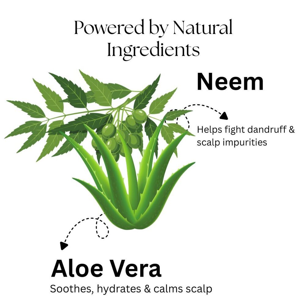 Neem Aloe Vera Shampoo Kayee Ayurveda
