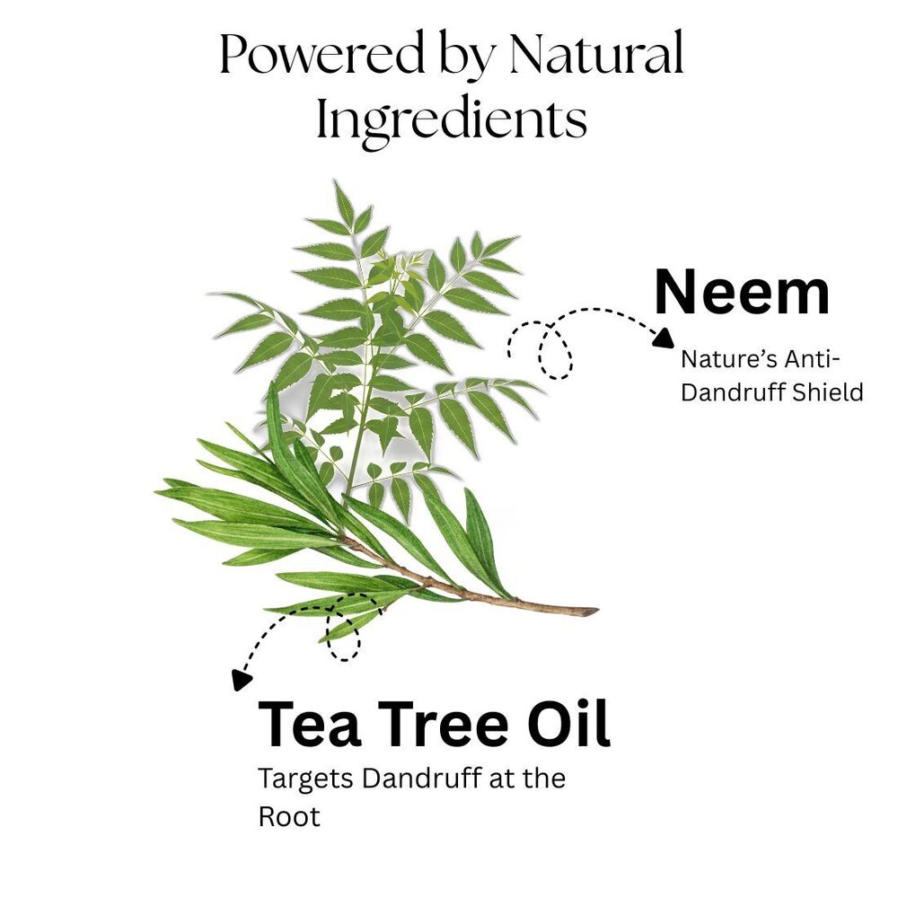 Anti-Dandruff Shampoo Kayee Ayurveda