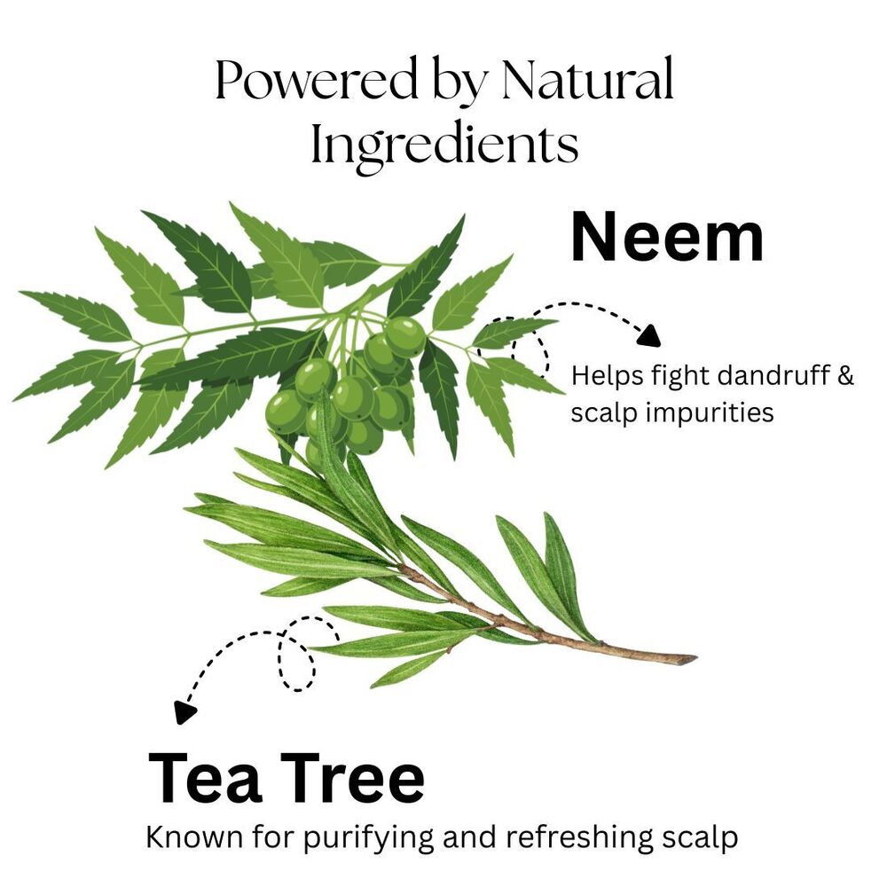 Neem Tea Tree Shampoo Kayee Ayurveda