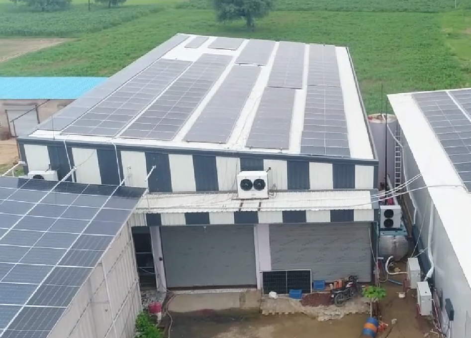 100 ton Solar powered Cold Storage 