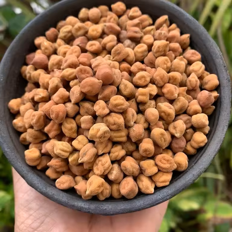 Organic-Non GMO Whole Split Black Chickpeas