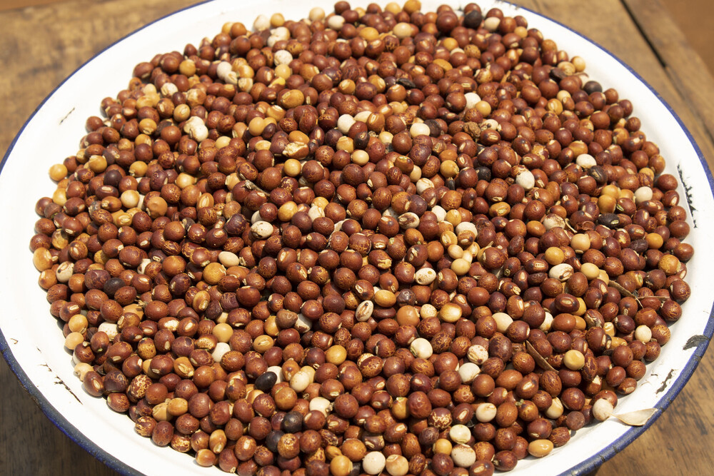 Pigeon Peas - Admixture (%): 1% Max