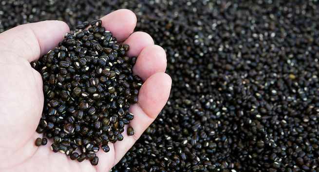 Black Urad Dal