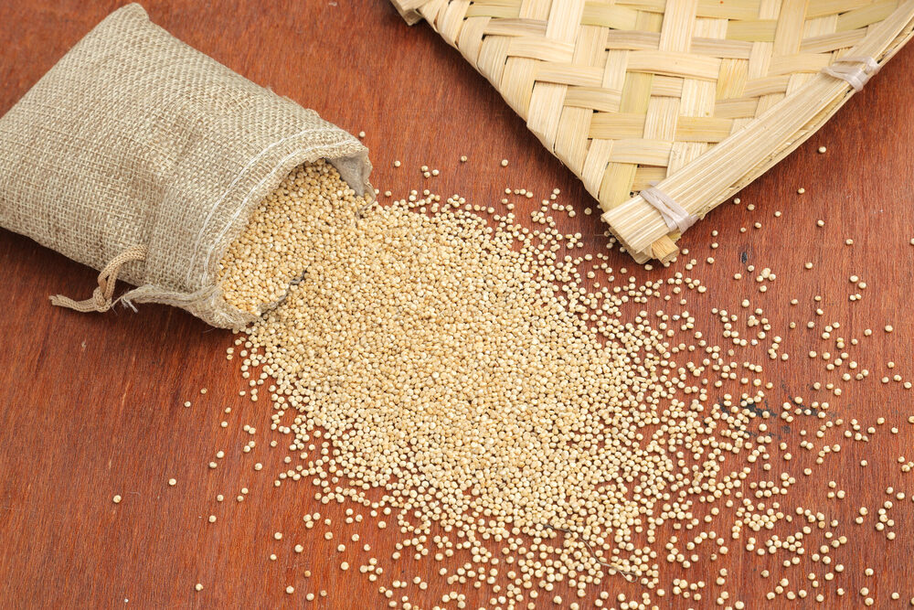 Little millet