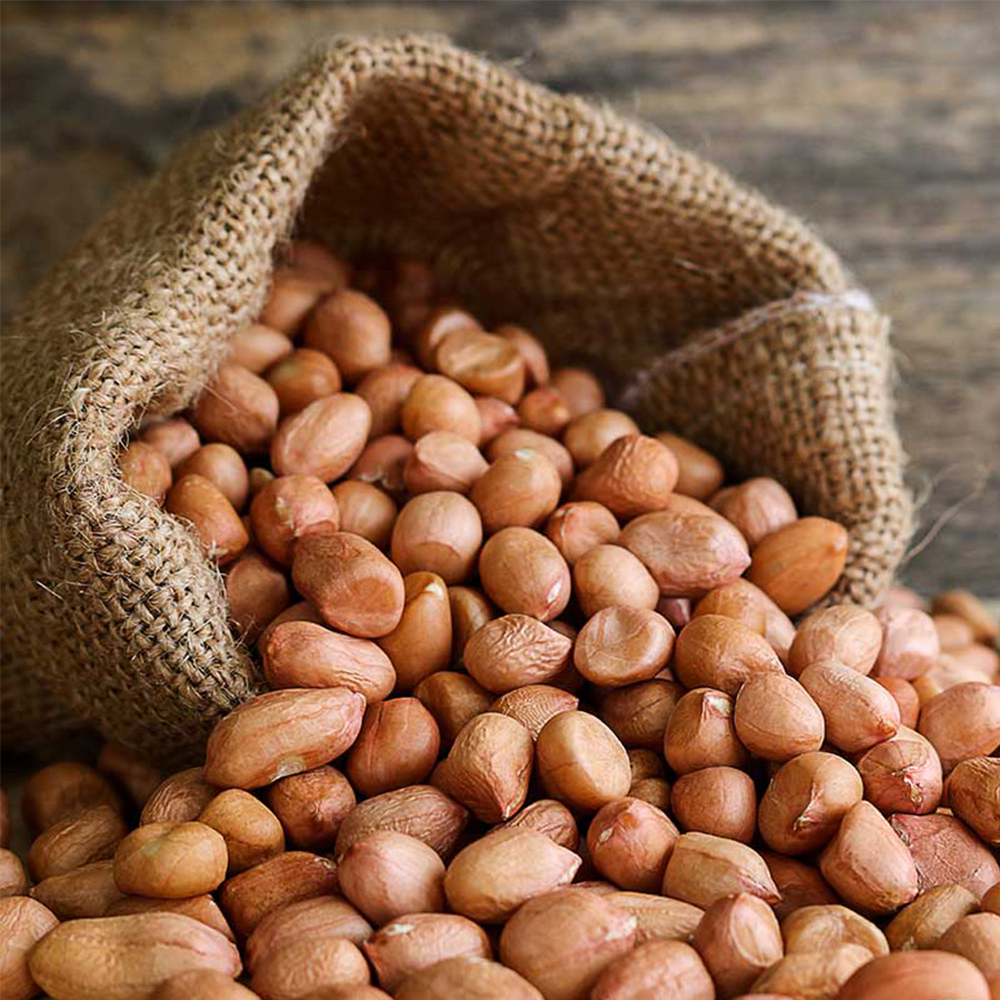 Raw Groundnuts