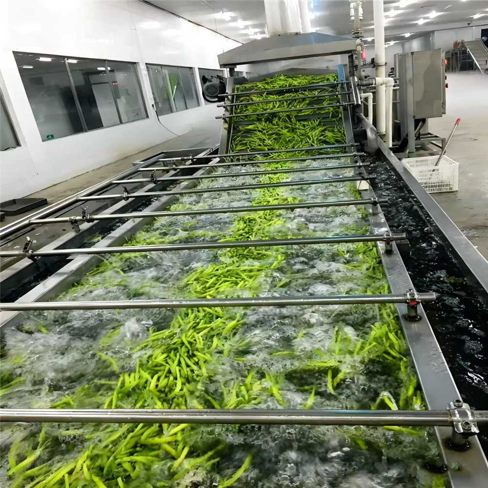 Commercial Vegetable Washing Machine