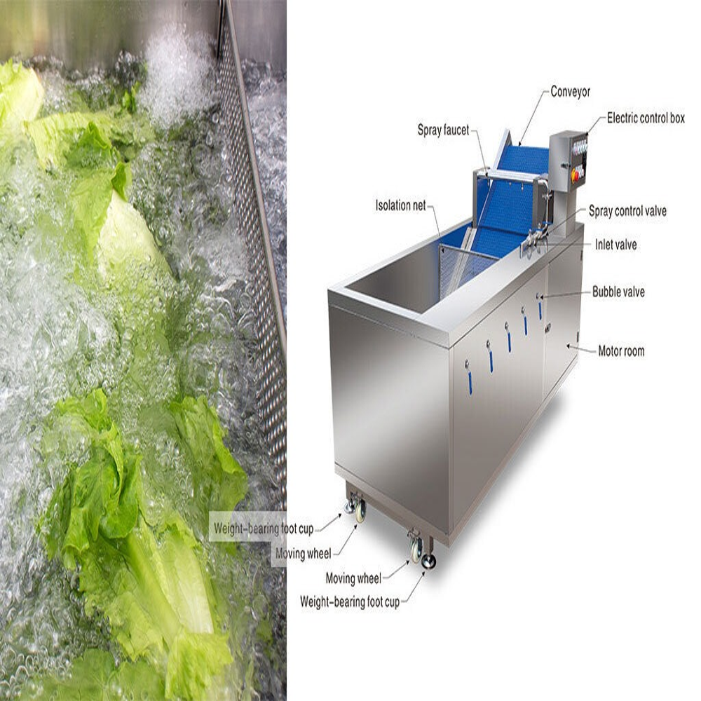 Commercial Vegetable Washing Machine