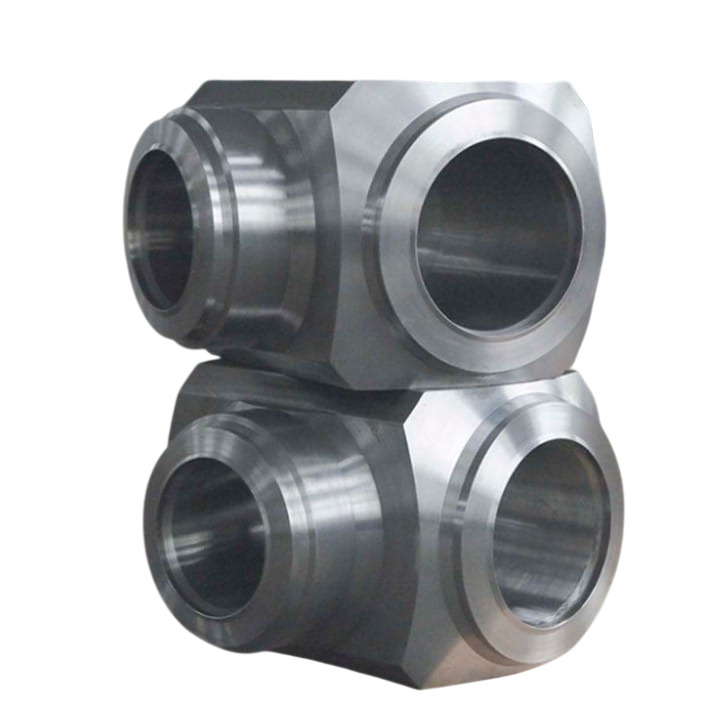 SS Forged Alloy Steel Valve Fitting