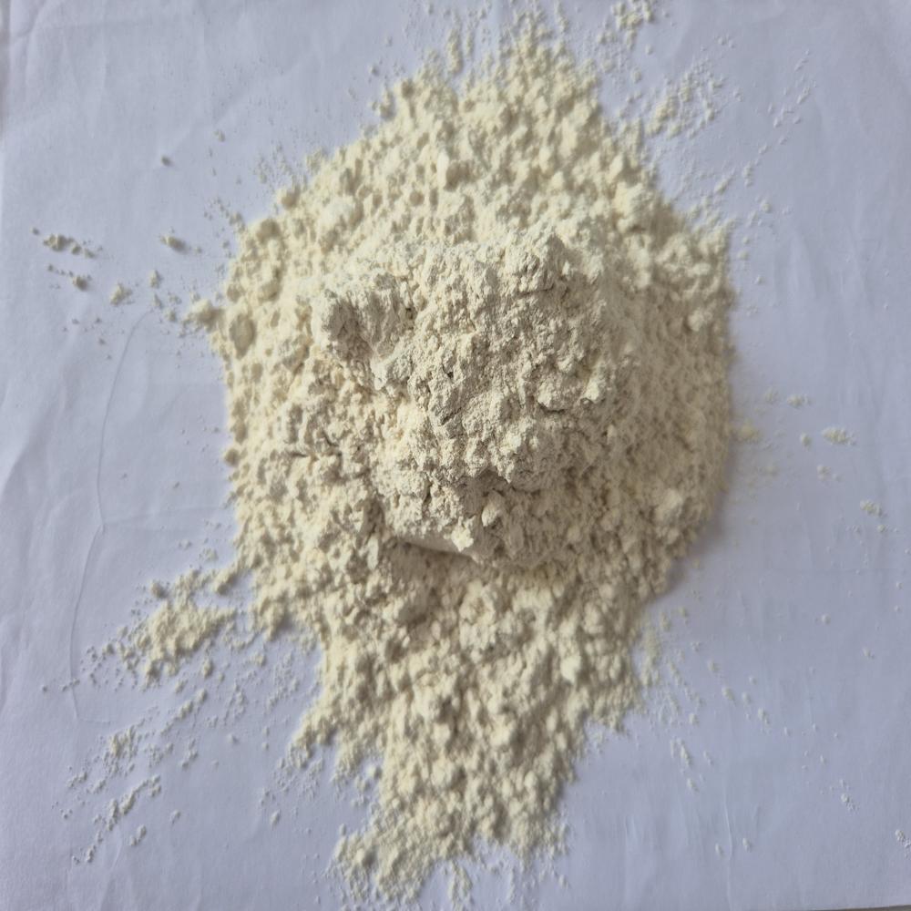 Dehydrated Onion Powder