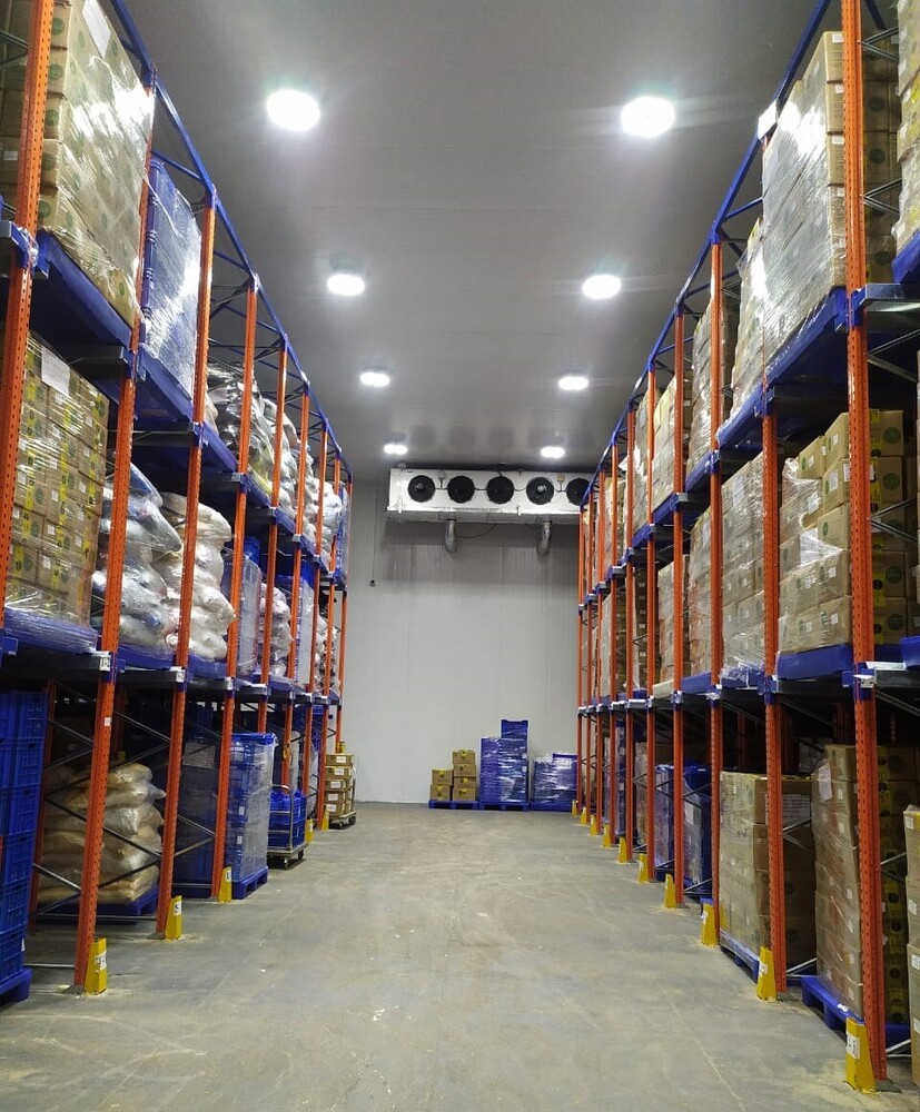 Frozen Food Cold  Storage