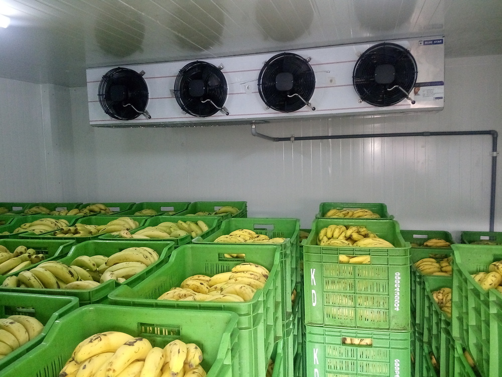 Ripening Chamber For Banana